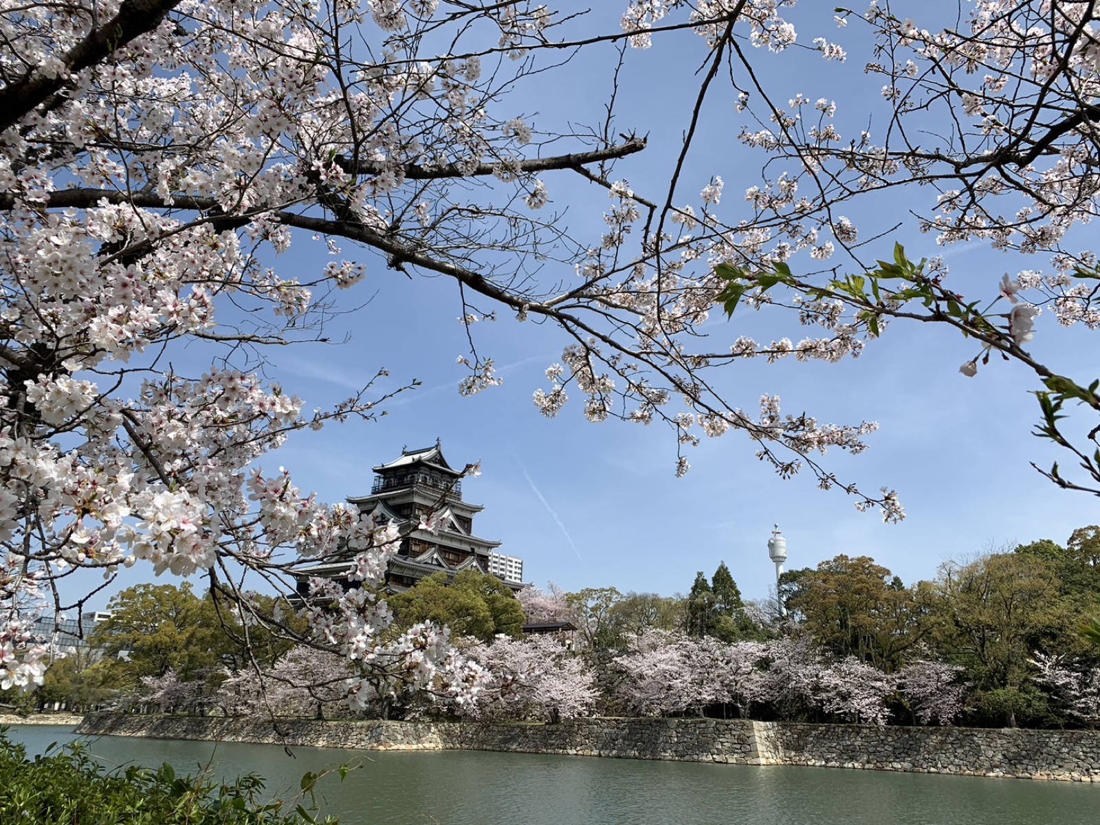 Hiroshima Castle After the Bomb: A Story of Destruction and Reconstruction