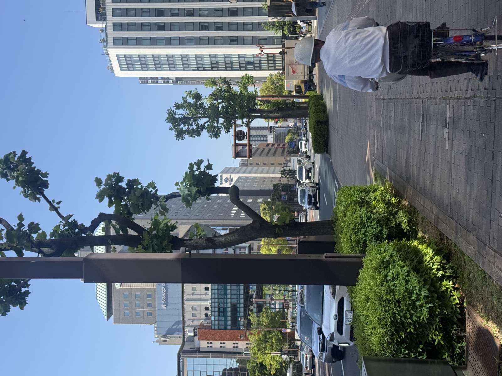 Hiroshima Good or Bad? A Local's Honest Take on Living and Traveling in the Peace City