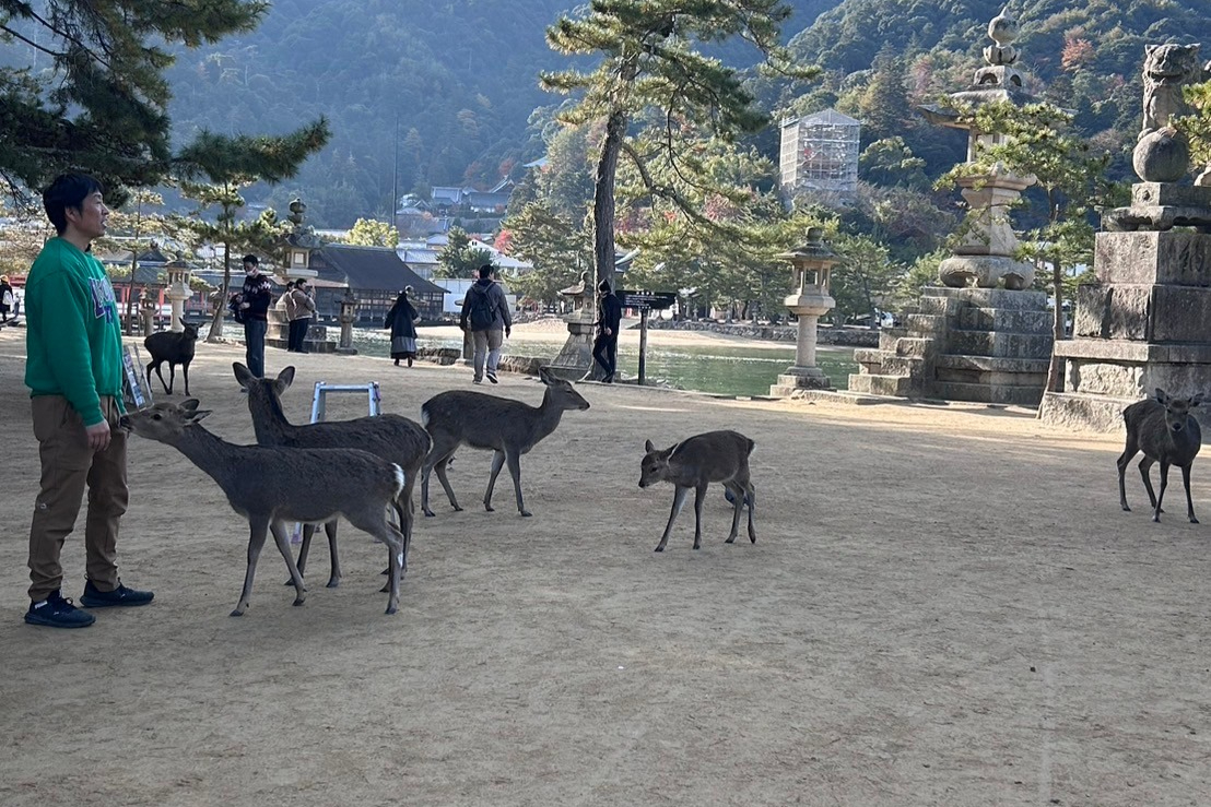 miyajima