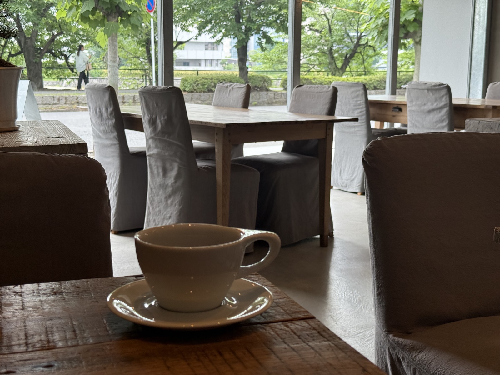 Modern cafe interior with specialty coffee and garden view